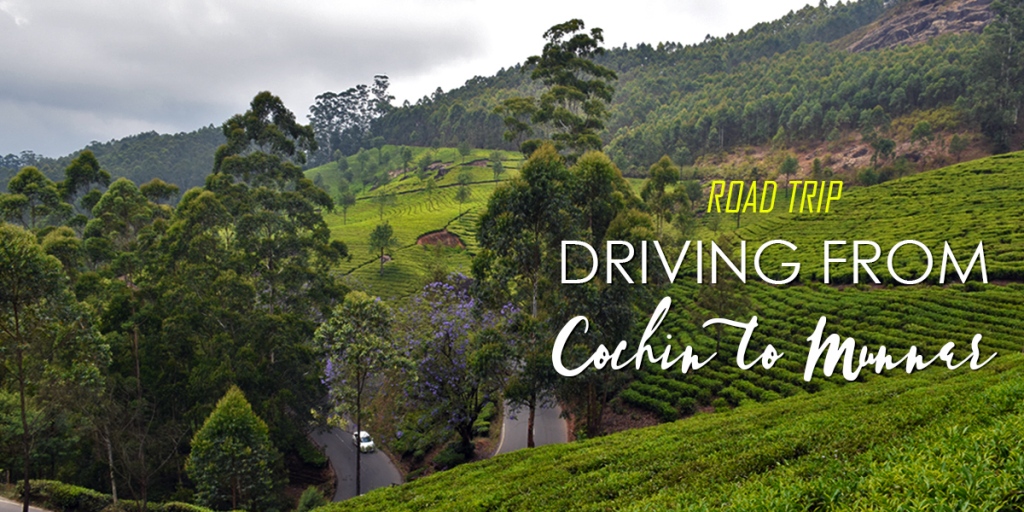 Featured Image - Driving from Cochin to Munnar in a Day